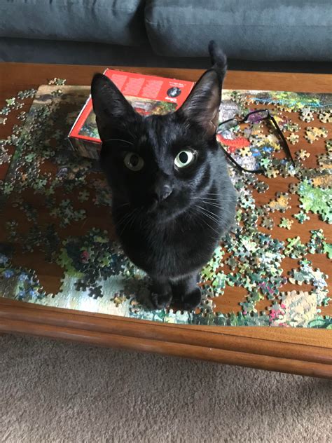 I work 12 hour graveyard shifts. This is my welcoming committee when I