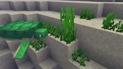 Turtles In Minecraft How To Tame Breed And Get Scutes Charlie Intel