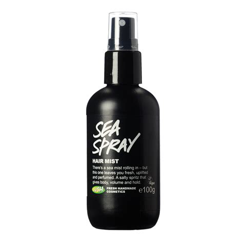Spray the diy sea salt spray on damp hair or dry to create additional texture. Thee Booji List