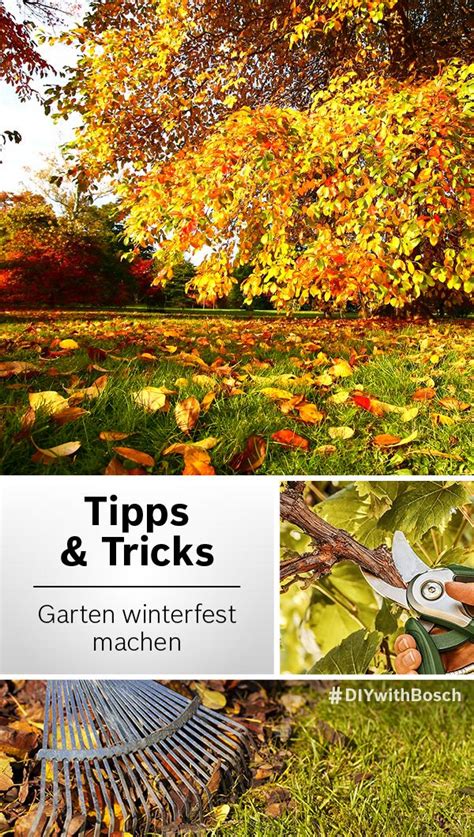 Holen sie empfindliche pflanzen vor dem ersten frost aus dem garten. Garten winterfest machen: Tipps & Tricks | Winterfest ...