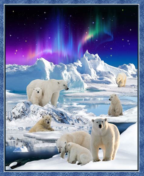 Polar Bears Aurora Borealis International Textiles Ltd