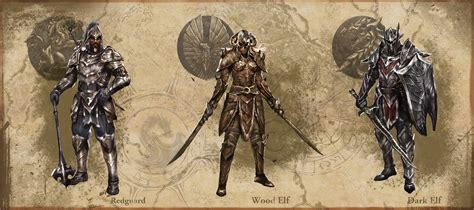 The Elder Scrolls Online Reveals New Heavy Armor Sets