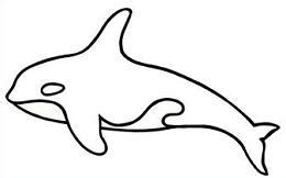 Dive into this fun coloring page with your child. Free Orca Clipart