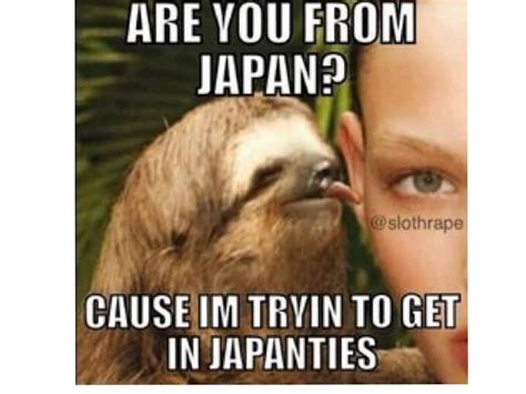 20 Hilarious Sloth Meme Photos And Images Picss Mine