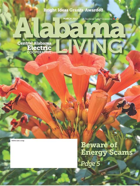Kay ivey related to broadband pave the way for cooperative and utility partnerships. Alabama Living Archive - Central Alabama Electric Cooperative