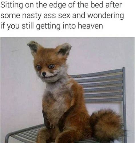 Sex Memes Pics
