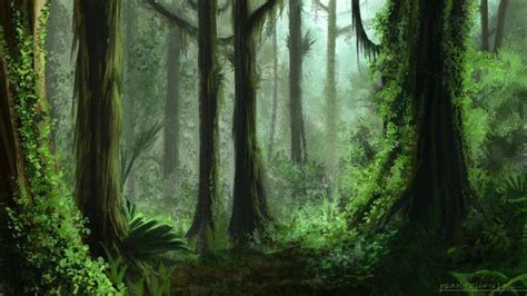 Rainforest Backgrounds Wallpaper Cave