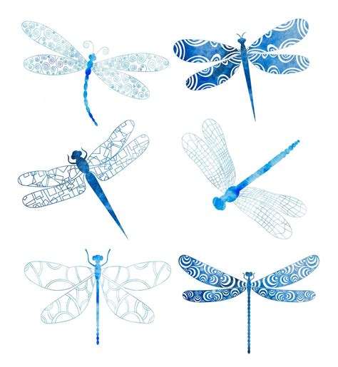 Premium Vector Dragonfly Set Watercolor Silhouette Set Isolated