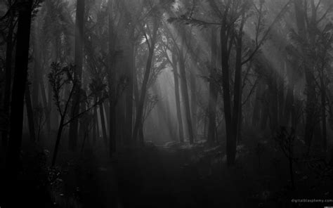 49 Dark Scary Forest Wallpaper On Wallpapersafari