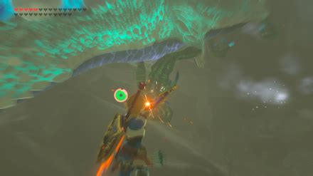 These can be found at most outdoor. Where to Farm Naydra's Claws: Locations and Prices | Zelda: Breath of the Wild (BotW)｜Game8