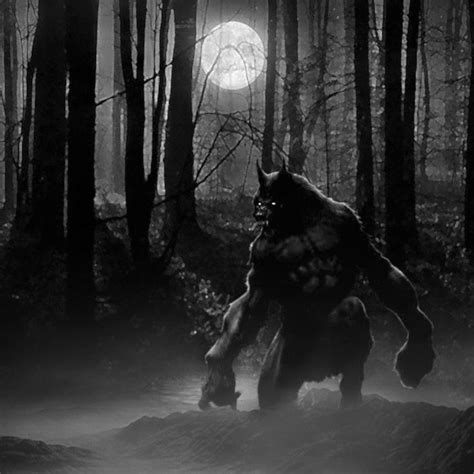 Forest Werewolf Werewolf Art Werewolf Skin Walker