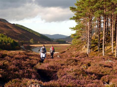 Autumn In The Cairngorms A Celebration Of Hiking And Photography
