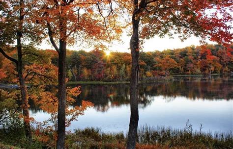Peep The Best Fall Foliage In Nj At These 9 Places