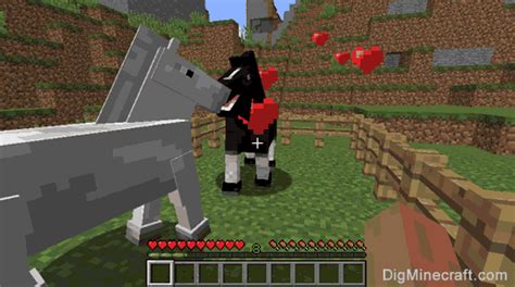 · dyeing leather armor in minecraft first, it's worth pointing out that only leather armor can be dyed in minecraft. How to Breed Horses in Minecraft