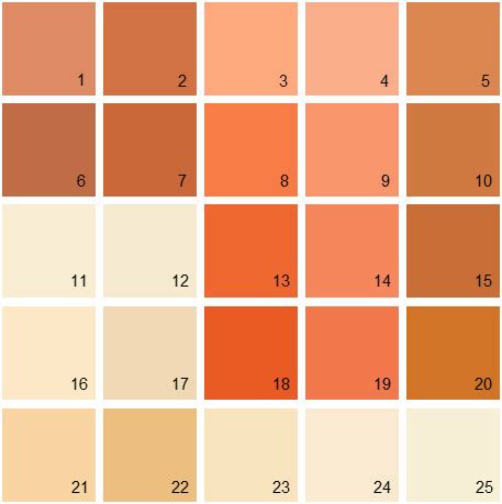 See the colors in rooms plus read descriptions of each one and get ideas for where to use them. Benjamin Moore Orange House Paint Colors - Palette 09