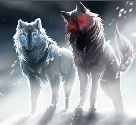 Angel Wolf And Demon Wolf Anime Wolf Fantasy Wolf