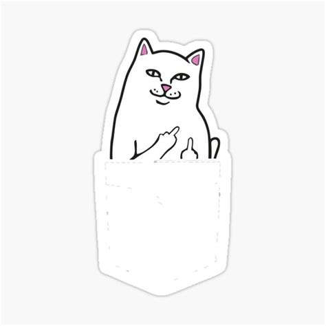 Cat Flipping Off Flip Off Cat Pocket Meme Giving The Finger Sweatshirt