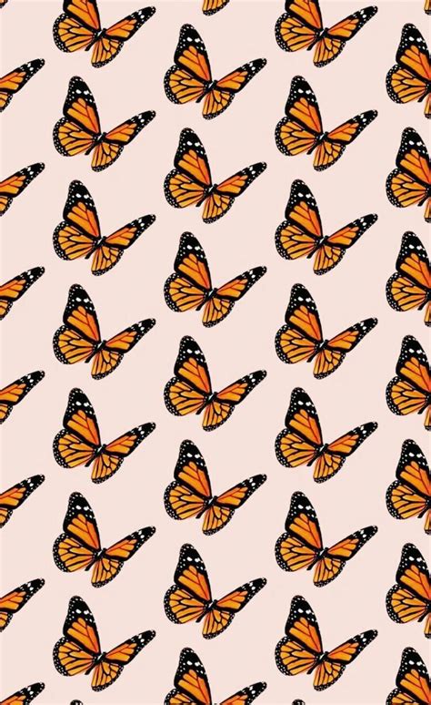 Aesthetic Simple Butterfly Wallpapers Wallpaper Cave