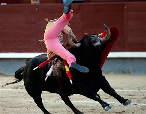 Video Gored Bullfighter Goes Back Into Ring To Collect Cash World