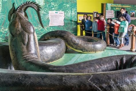 Get Up Close And Personal With The Largest Snake In The World