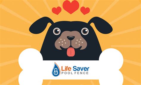 All american pool safety fence. Life Saver Of Houston TX - (832) 367-2377 - Best Pool ...