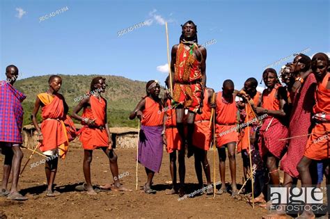Massai Men Dancing Masai Mara Kenya Stock Photo Picture And Rights