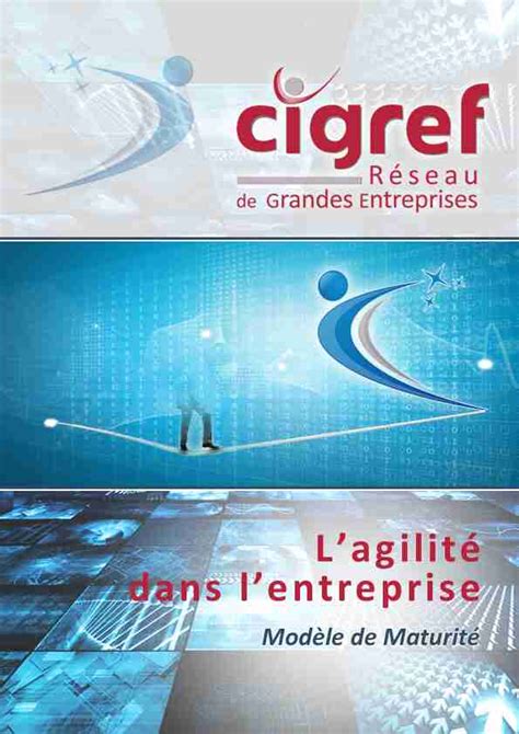 Lagilité Dans Lentreprise Modèle De Maturité Rapport Cigref Pdf