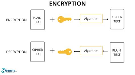 Encryption Vs Encoding Vs Hashing Know The Difference Cybervie