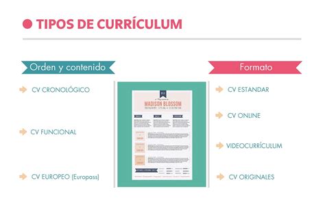 Tipos De Curriculum Y Cuando Utilizarlos Hacer Un Curriculum Images