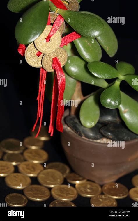 Feng Shui Coins On Money Tree With Gold Coins Symbolising Success And