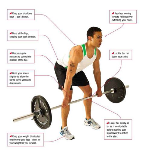 A Man Holding A Barbell With Instructions On How To Use It