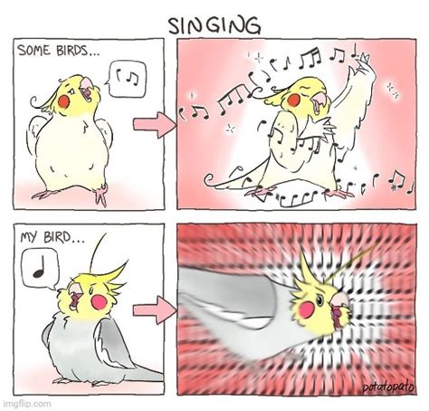 Singing Imgflip