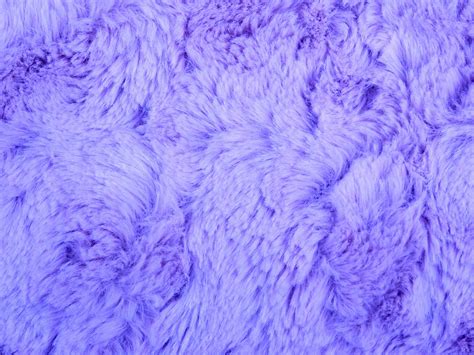 Lilac Fur Background Free Stock Photo Public Domain Pictures