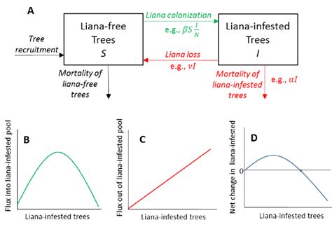 A A Simple Box Model For The Prevalence Of Liana Infestation In A