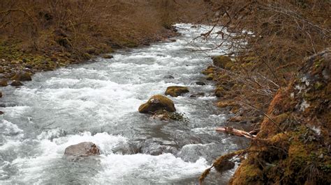 Fast Water Stream In Mountain River With Stones Fresh Cold Water