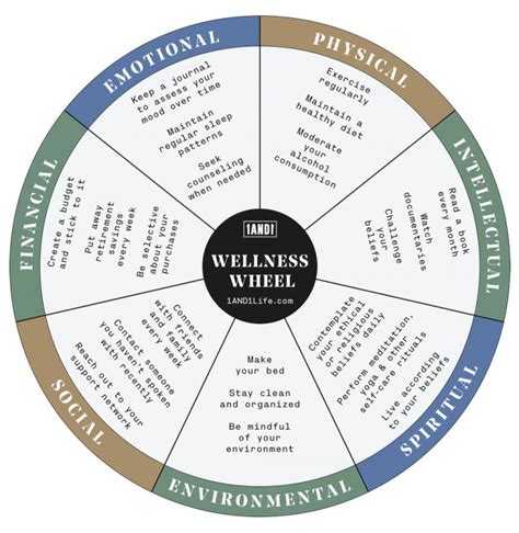 Why Is The Wellness Wheel Important
