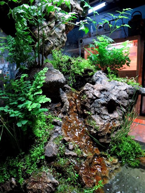 Paludarium With Water Fall Cave And Ponds Frog Terrarium Vivarium Reptile Terrarium