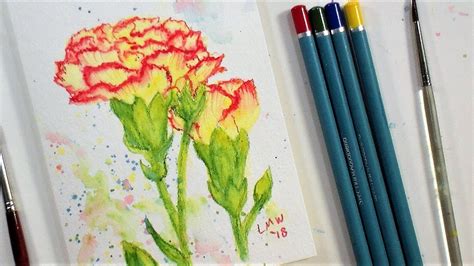 How To Draw Flowers With Watercolour Pencils Best Flower Site