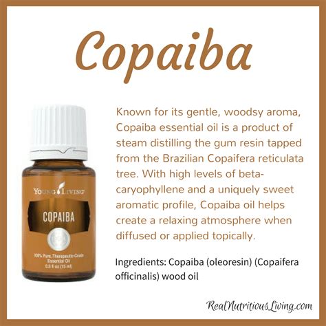 This oil has a soft, woodsy smell and tastes earthy, with notes of honey. Copaiba Essential Oil (With images) | Copaiba essential ...