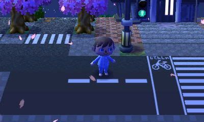 I'm a tadpole when i'm young. Pedestrian crosswalk, a bike crossing...but where's the *animal crossing*? (dream address 2000 ...