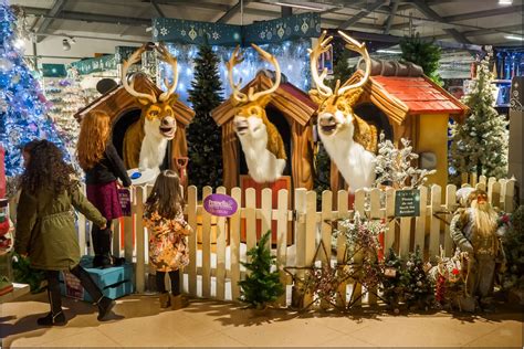 Lincolnshire Cam Christmas At Pennells Garden Centre Lincoln 2017