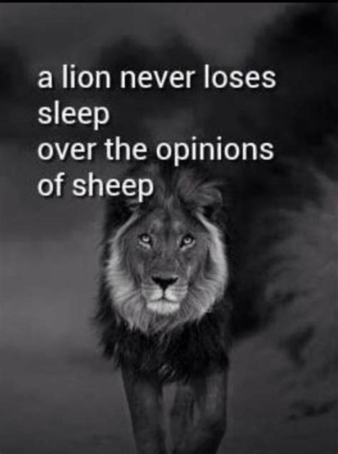 You know the lion is dangerous when it is quiet, stalking, sneaking up on its prey. You are the lion stand strong when the lamb bahbahbahs ...