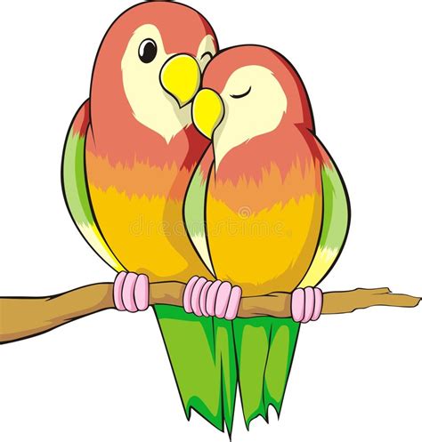 Love Birds Stock Illustration Image Of Birds Male Courtship 8018122