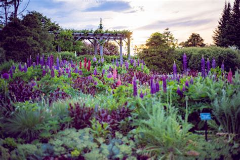 Maines Botanical Garden Coastal Maine Botanical Gardens