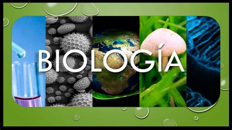 Definición De Biología ¿qué Es La Biología Para Estudiantes Youtube