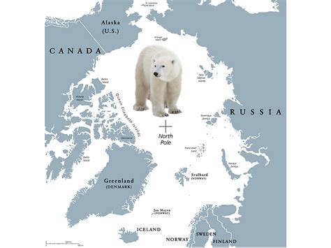 Where Do Polar Bears Live Worldatlas