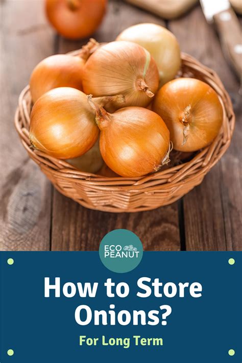 How To Store Onions And Keep Them Fresh Eco Peanut Storing Onions