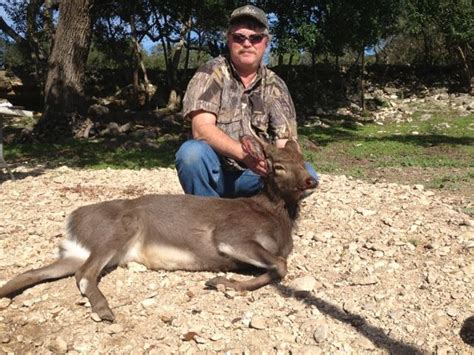 Landl Adventures Whitetail And Exotic Hunting Ranch Wimberley Texas