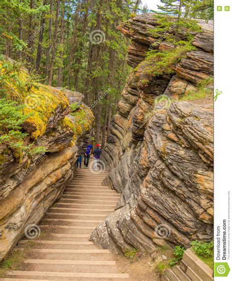 Athabasca Falls In The Canadian Rockies Along The Scenic Icefields