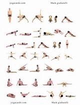 About Yoga Poses Pictures